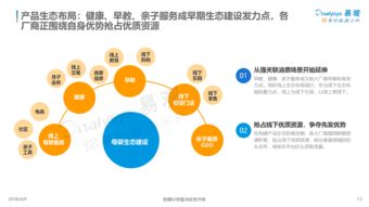 中国互联网母婴市场年度综合分析2018